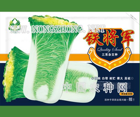 铁将军